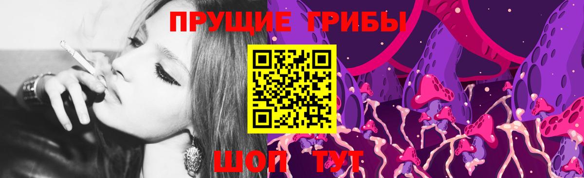 Псилоцибиновые грибы Cubensis Карпинск